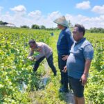 IMG-20260414-WA0032(1)