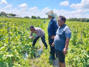 IMG-20260414-WA0032(1)