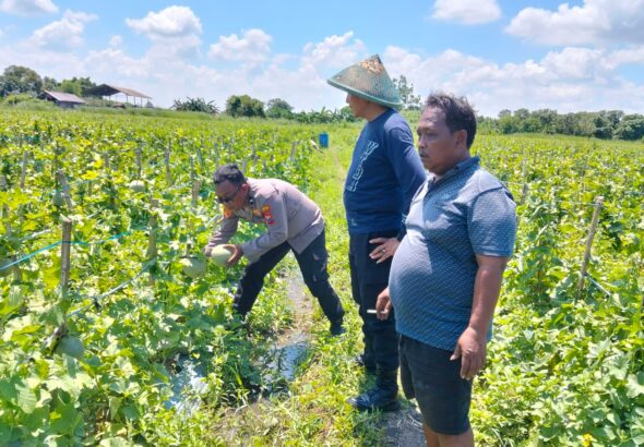 IMG-20260414-WA0032(1)