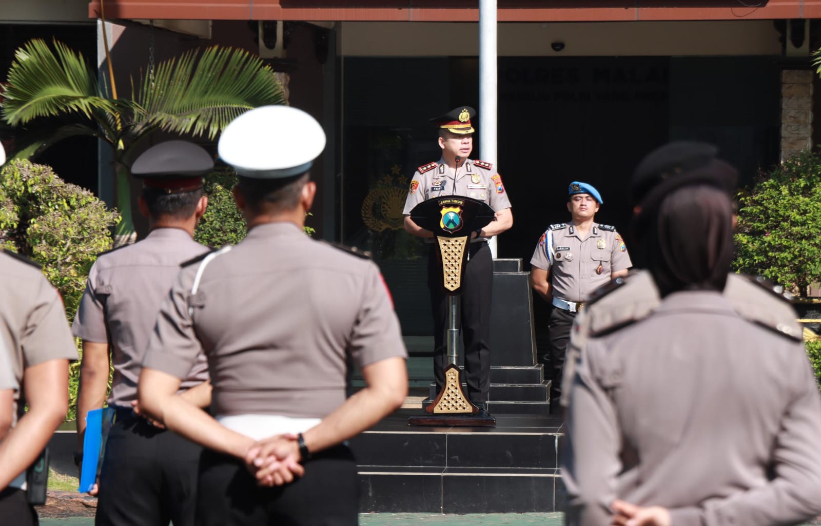 WhatsApp Image 2026-04-02 at 11.11.25